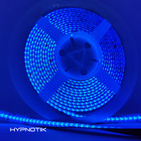 Vibe X5 Next-Gen Linear Lighting